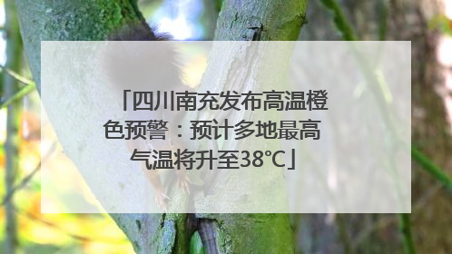 四川南充发布高温橙色预警：预计多地最高气温将升至38℃