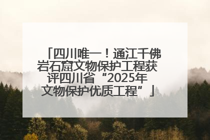 四川唯一！通江千佛岩石窟文物保护工程获评四川省“2025年文物保护优质工程”