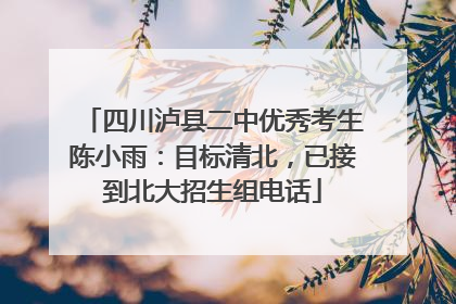 四川泸县二中优秀考生陈小雨：目标清北，已接到北大招生组电话