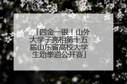四金一银！山外大学子亮相第十五届山东省高校大学生跆拳道公开赛