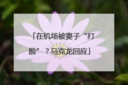 在机场被妻子“打脸”？马克龙回应