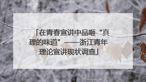 在青春宣讲中品咂“真理的味道”——浙江青年理论宣讲现状调查