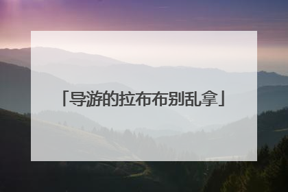 导游的拉布布别乱拿
