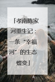 孝南陈家河重生记：一条“幸福河”的生态蝶变
