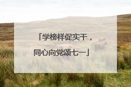 学榜样促实干，同心向党颂七一