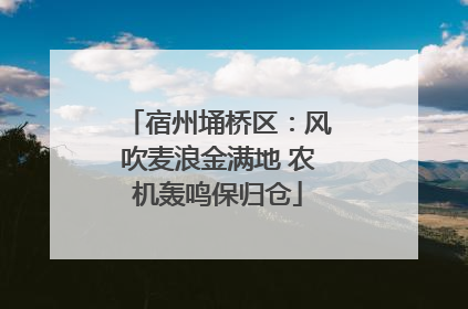 宿州埇桥区：风吹麦浪金满地 农机轰鸣保归仓