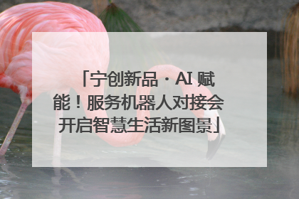宁创新品・AI 赋能！服务机器人对接会开启智慧生活新图景