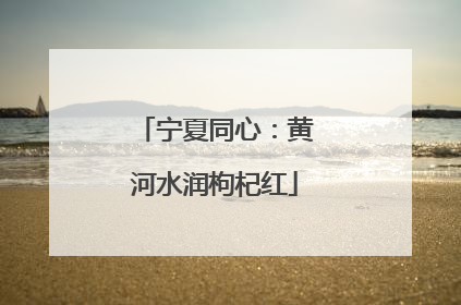 宁夏同心：黄河水润枸杞红