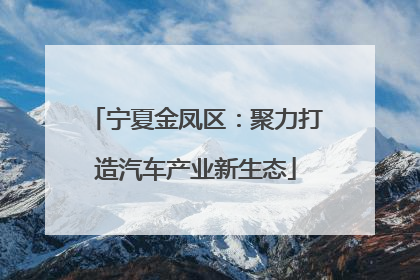 宁夏金凤区：聚力打造汽车产业新生态