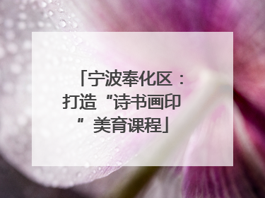 宁波奉化区：打造“诗书画印”美育课程