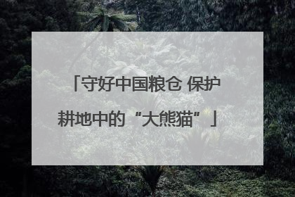 守好中国粮仓 保护耕地中的“大熊猫”