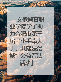安徽警官职业学院学子助力合肥市第三届“小手牵大手、共建法治城”公益普法活动