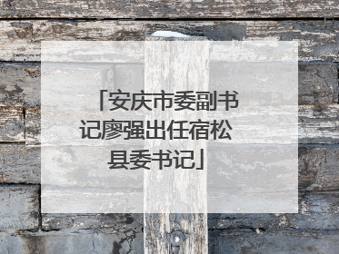 安庆市委副书记廖强出任宿松县委书记