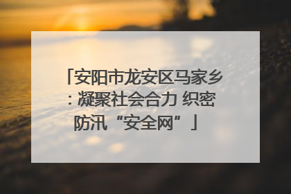 安阳市龙安区马家乡：凝聚社会合力 织密防汛“安全网”