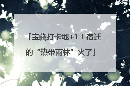 宝藏打卡地+1！宿迁的“热带雨林”火了