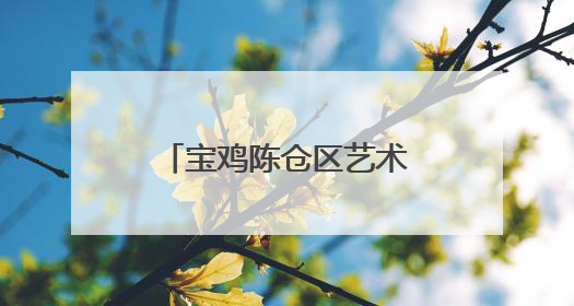 宝鸡陈仓区艺术类青年教师基本功大赛顺利举办