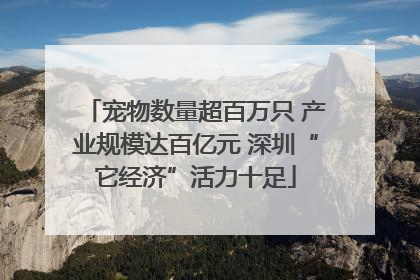 宠物数量超百万只 产业规模达百亿元 深圳“它经济”活力十足