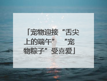 宠物迎接“舌尖上的端午” “宠物粽子”受喜爱