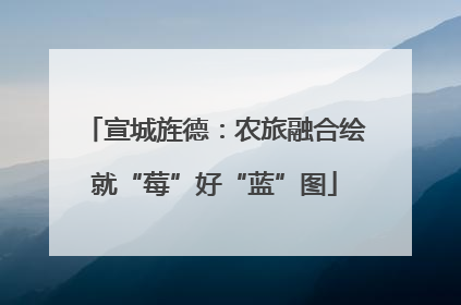 宣城旌德：农旅融合绘就“莓”好“蓝”图