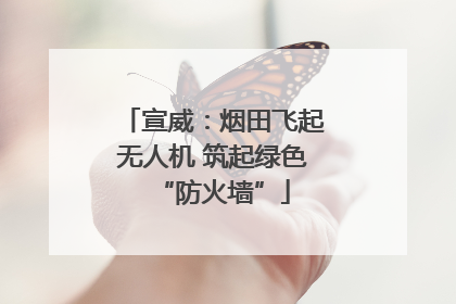 宣威：烟田飞起无人机 筑起绿色“防火墙”