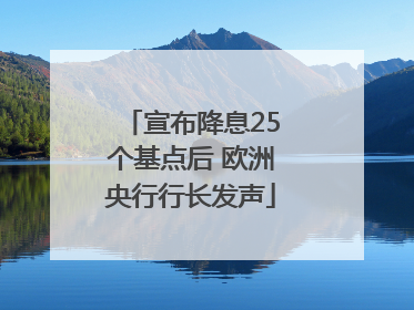 宣布降息25个基点后 欧洲央行行长发声