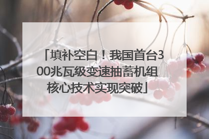 填补空白！我国首台300兆瓦级变速抽蓄机组核心技术实现突破