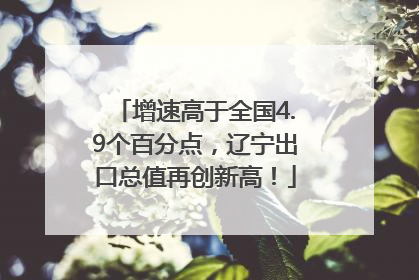 增速高于全国4.9个百分点，辽宁出口总值再创新高！