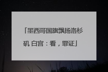墨西哥国旗飘扬洛杉矶 白宫：看，罪证