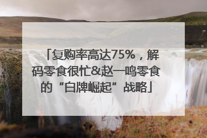 复购率高达75%，解码零食很忙&赵一鸣零食的“白牌崛起”战略