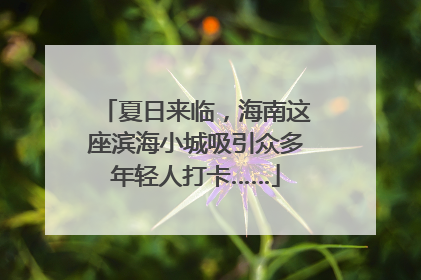 夏日来临，海南这座滨海小城吸引众多年轻人打卡……