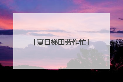 夏日梯田劳作忙