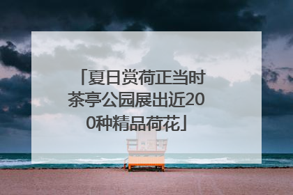 夏日赏荷正当时 茶亭公园展出近200种精品荷花
