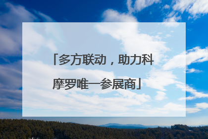 多方联动，助力科摩罗唯一参展商