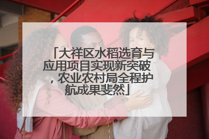 大祥区水稻选育与应用项目实现新突破，农业农村局全程护航成果斐然