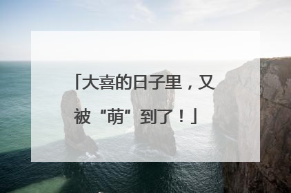 大喜的日子里，又被“萌”到了！