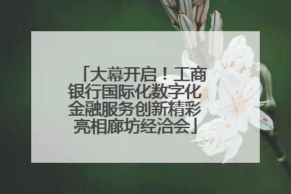 大幕开启！工商银行国际化数字化金融服务创新精彩亮相廊坊经洽会