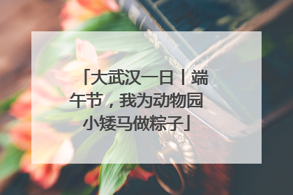 大武汉一日丨端午节，我为动物园小矮马做粽子
