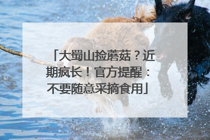 大蜀山捡蘑菇？近期疯长！官方提醒：不要随意采摘食用