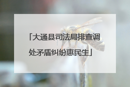 大通县司法局排查调处矛盾纠纷惠民生