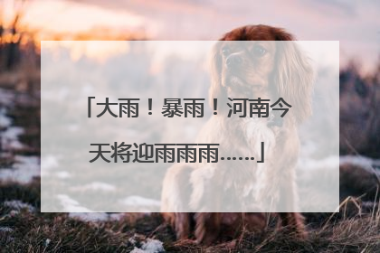 大雨！暴雨！河南今天将迎雨雨雨……