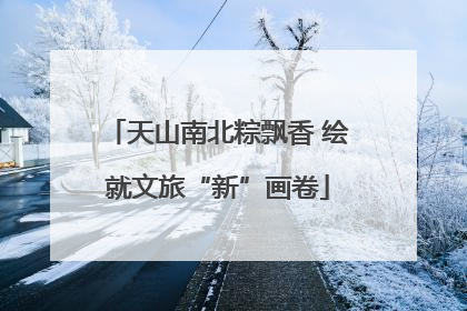 天山南北粽飘香 绘就文旅“新”画卷