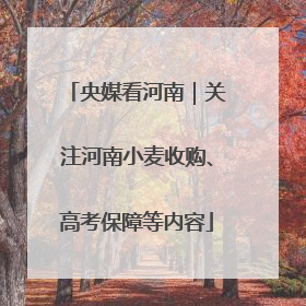 央媒看河南｜关注河南小麦收购、高考保障等内容