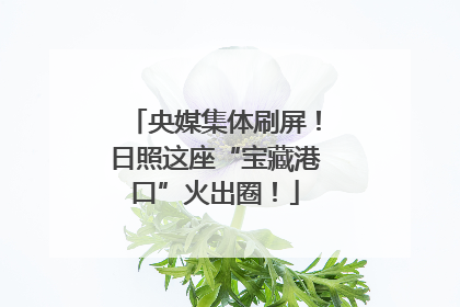 央媒集体刷屏！日照这座“宝藏港口”火出圈！