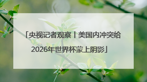 央视记者观察丨美国内冲突给2026年世界杯蒙上阴影