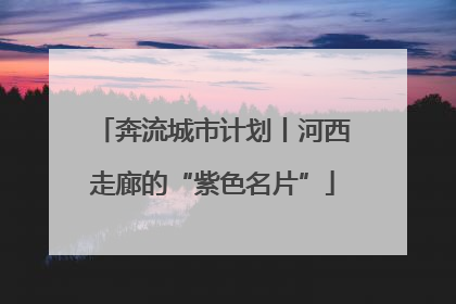 奔流城市计划丨河西走廊的“紫色名片”