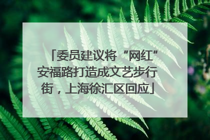 委员建议将“网红”安福路打造成文艺步行街，上海徐汇区回应