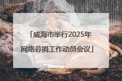 威海市举行2025年网络募捐工作动员会议