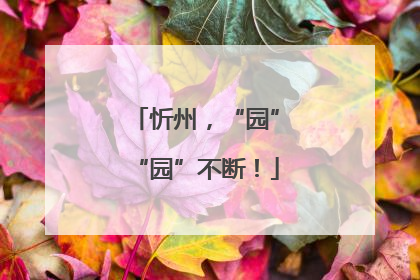 忻州，“园”“园”不断！