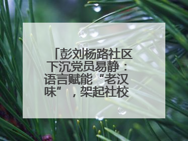 彭刘杨路社区下沉党员易静：语言赋能“老汉味”，架起社校“共建桥”
