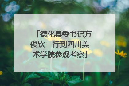 德化县委书记方俊钦一行到四川美术学院参观考察